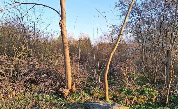 działka na sprzedaż - Koronowo (gw), Nowy Jasiniec