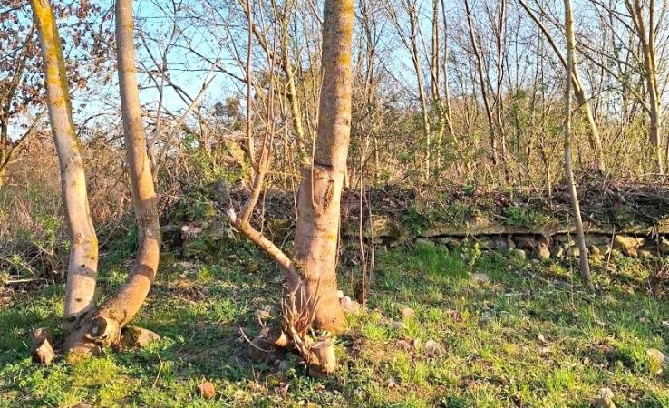 działka na sprzedaż - Koronowo (gw), Nowy Jasiniec